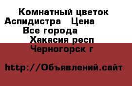 Комнатный цветок Аспидистра › Цена ­ 150 - Все города  »    . Хакасия респ.,Черногорск г.